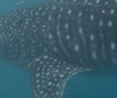 58f40b25-7269-4e8f-b6bf-8bd9a0629066