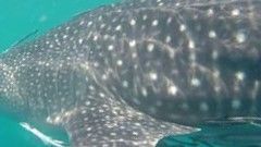 b8395b8e-78b3-42d2-a2e0-eed0b280cca4