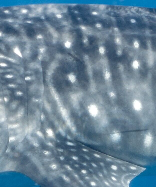 87783db8-8c1d-4254-b052-6bd20cfd4514