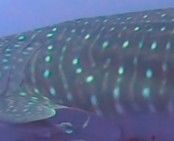 b55bf720-1f43-495e-aa86-aade88ea3481