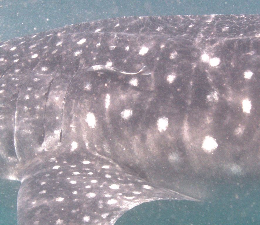 b8dfc1b5-29a0-47b4-996c-3501469bfacc