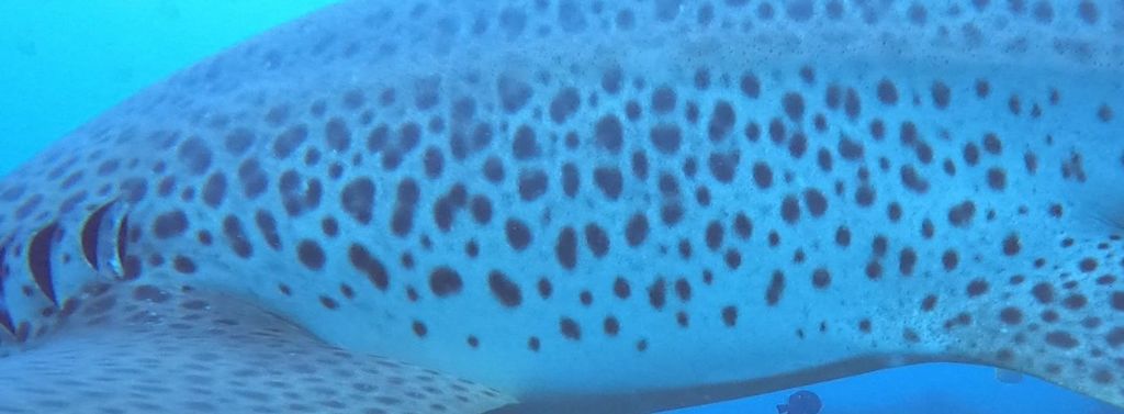 0f16f8d8-f6ad-462c-a672-727744828b43