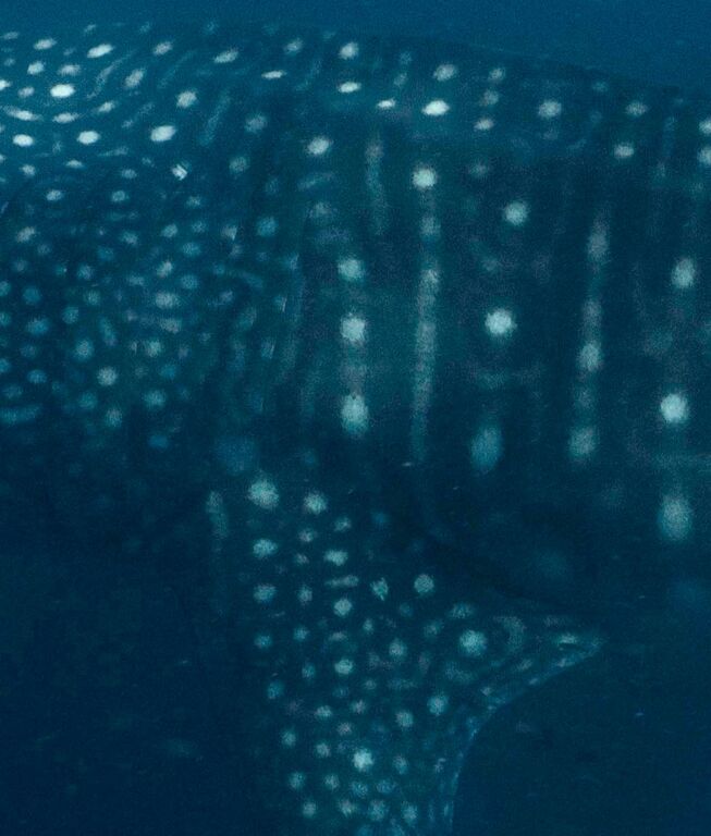 76ca28a3-7e86-41b3-8ce4-ab3038d0d678