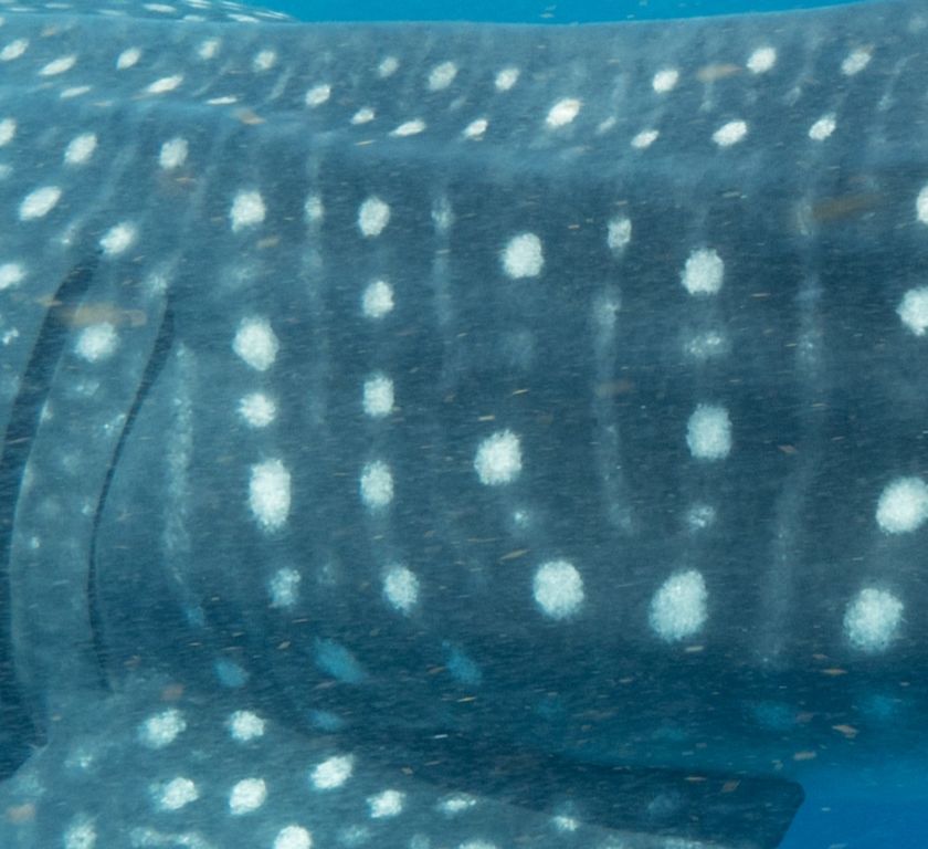 d9cba934-4a68-4f60-9dd6-6f8d0580804c