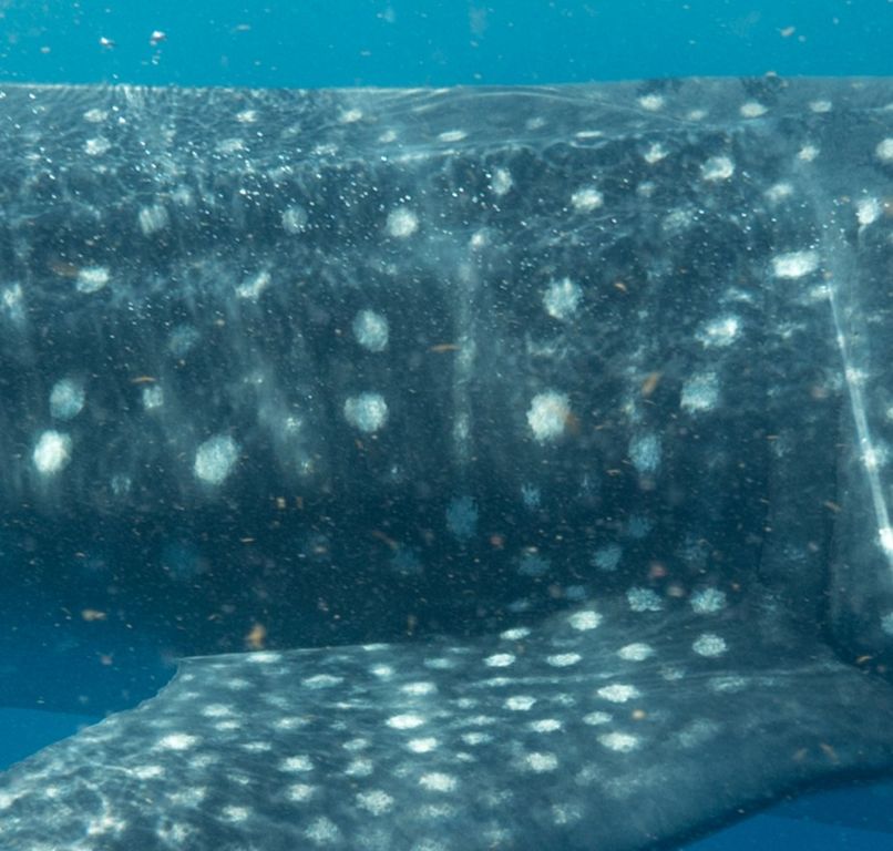 d9cba934-4a68-4f60-9dd6-6f8d0580804c