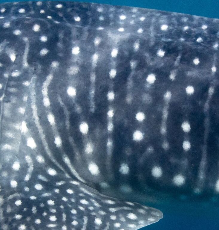 b5d688b7-415d-4ae9-b02f-0c1bf935c5b0