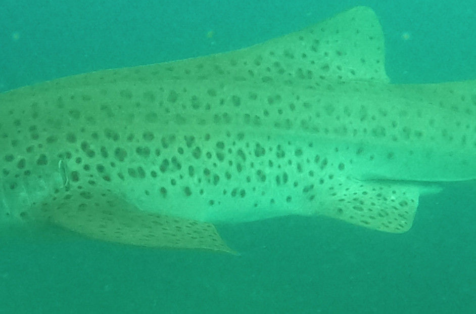 857bd346-5894-4420-b6de-5a64a11a324b