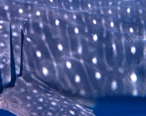 3a22bf2c-346b-4b7e-afae-0133dbae71d0