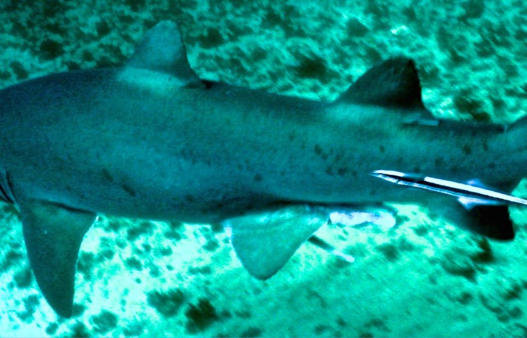 7b8a7c19-c291-4ae7-8656-d38aa56f9579