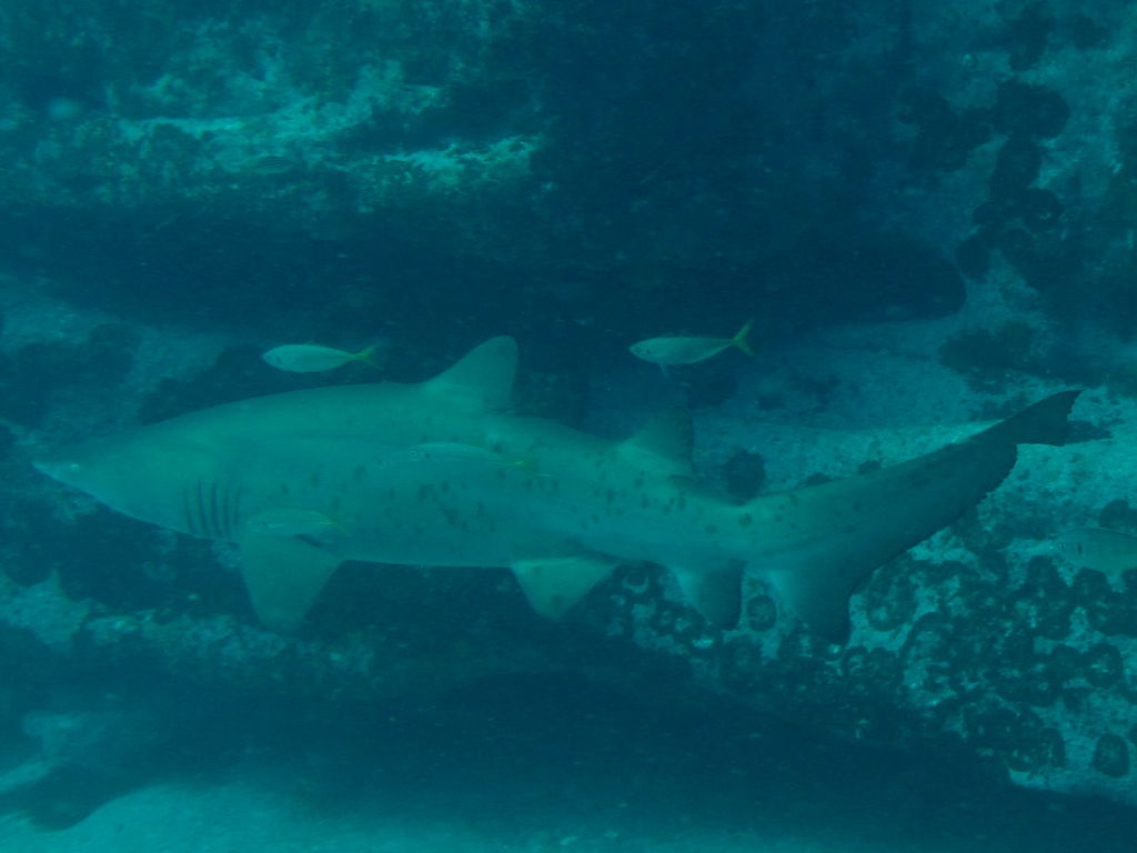 5cf44a17-aa66-45e0-994a-1dfae1c2cb6c