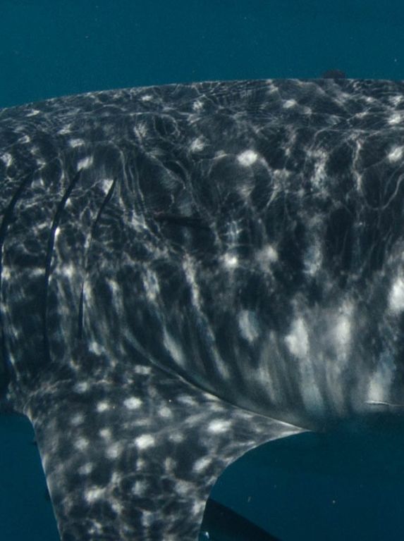 390a0220-5730-4f62-b0e9-7c68275ff6e8