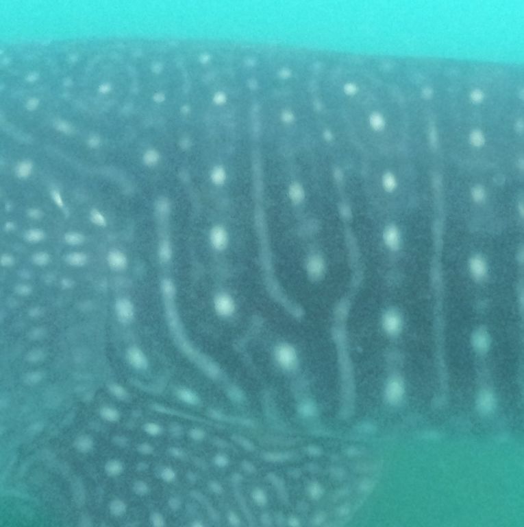 a7269452-005a-4add-892a-77c53a52b8c3