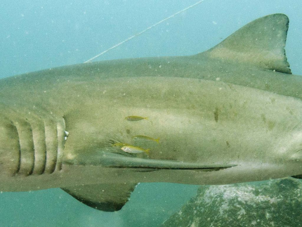 ee3a034a-5b5c-4ff3-ad63-9b821c545607