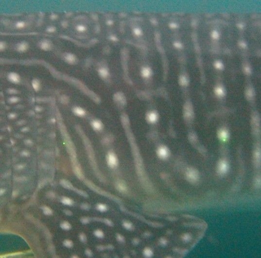 c912aa2a-7a6b-4a5a-8100-c7de53c5ead2