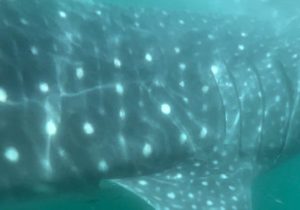 5ddd510b-fb47-470a-8714-dc55c423bd55