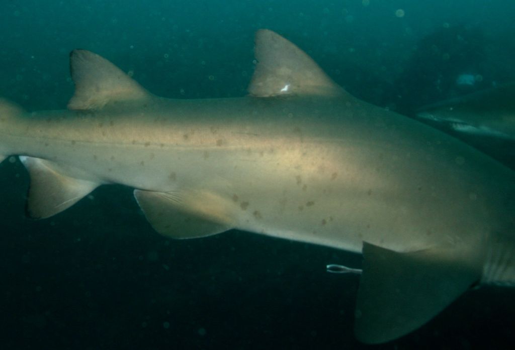 663816f0-b08f-4224-a1d2-ca365635aeef