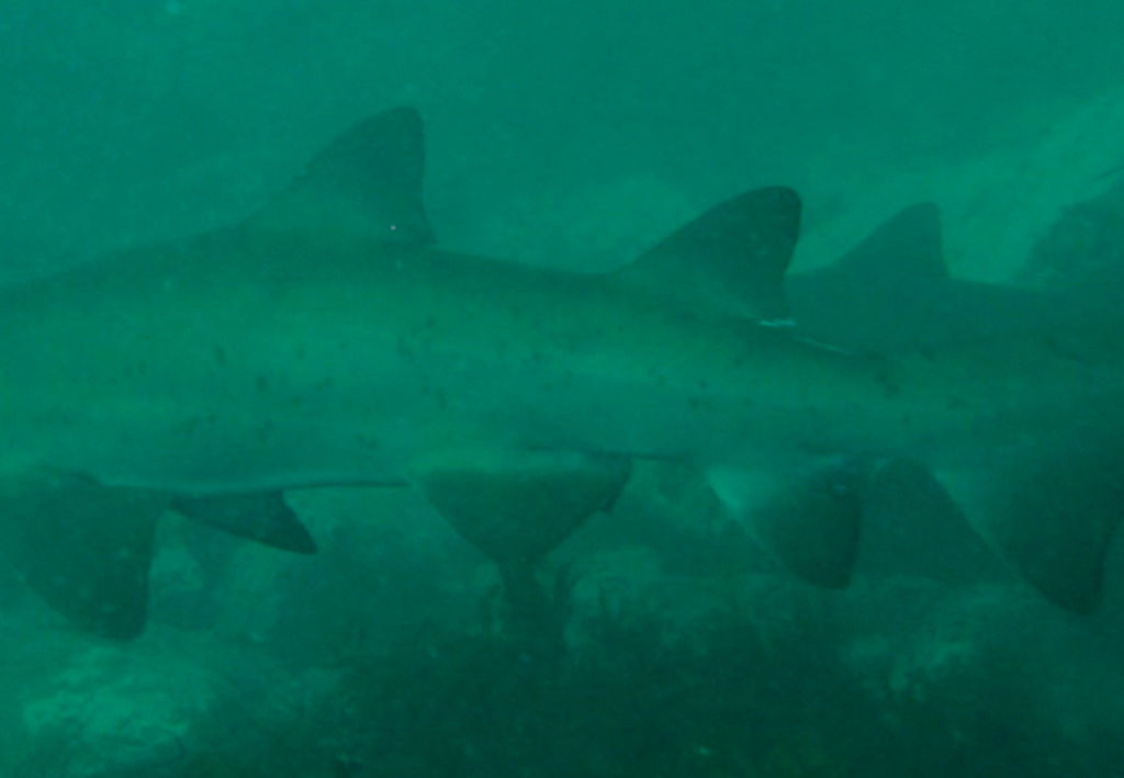 7f59ff33-9eda-4143-b425-503e1f7e8a76