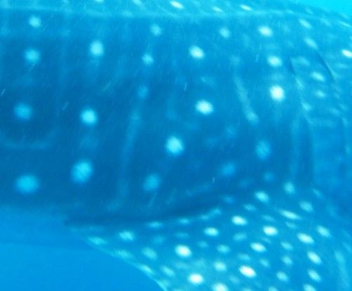 093e2b20-8dcd-484a-83af-b0e2a3e3b74d