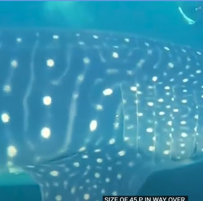 9e6ce0e7-7db1-4d56-902d-24f4125f16f7