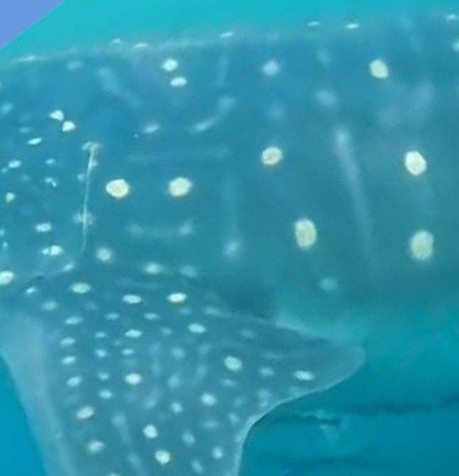 9e6ce0e7-7db1-4d56-902d-24f4125f16f7