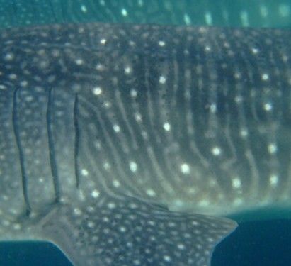 2142c97c-fbf0-4f8b-a708-0a090e0cb94c