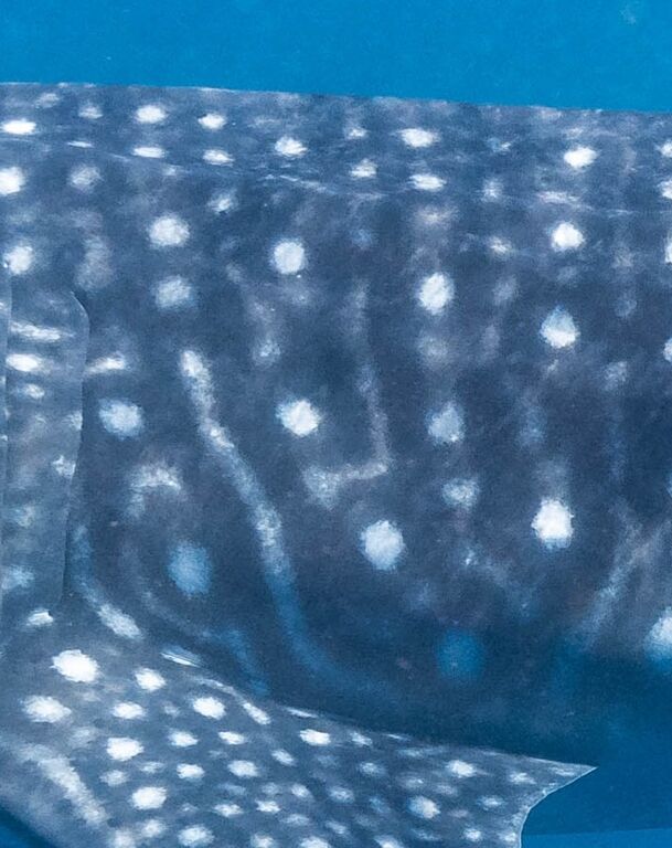 8be6e3a1-609a-42ec-adfa-f0e5dcdc8d05