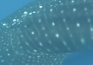 6d65b54d-84df-4691-af56-4dae63e829d9