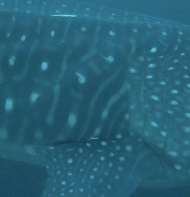 da618db6-54fb-4749-9a44-1aef7e108dd5