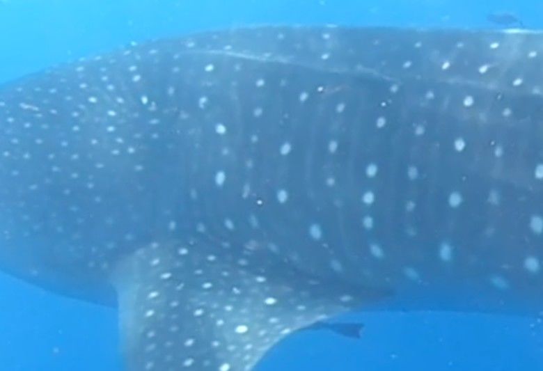 c6b6ab11-ea91-41af-ad70-1e7a46c395dc