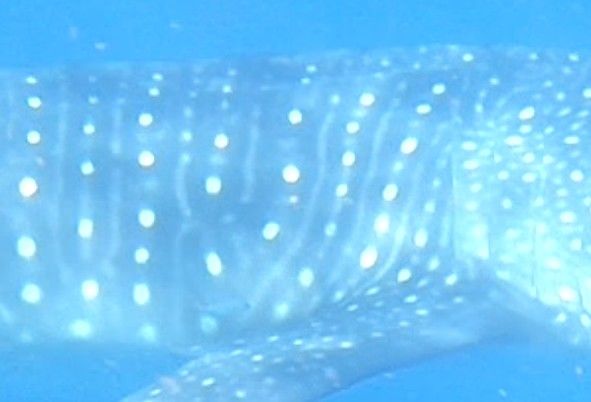 c6b6ab11-ea91-41af-ad70-1e7a46c395dc