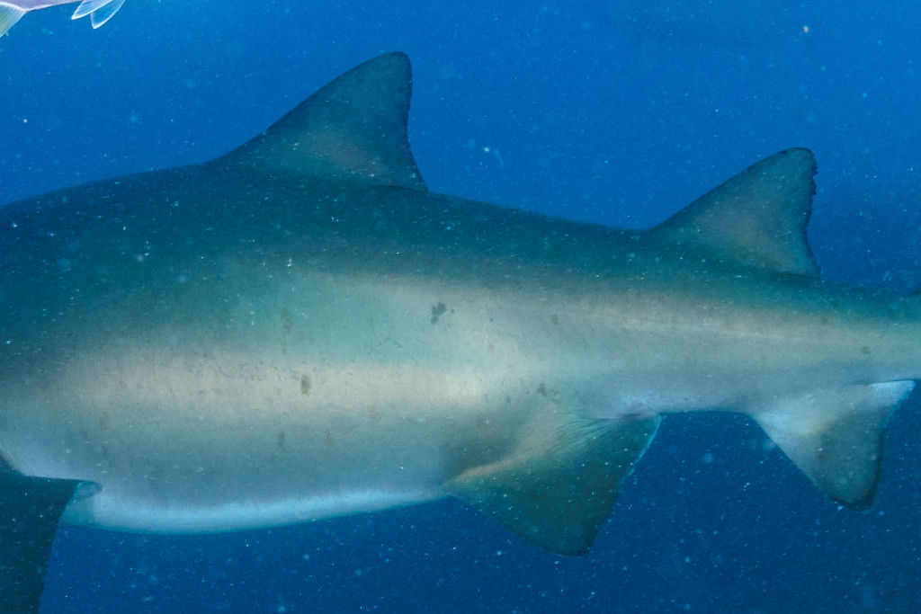 3a1896e2-fc8a-403a-8a03-f6856969e370