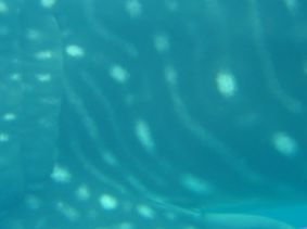 1852a48e-a9a2-4d6c-b6fd-df0812b71aab