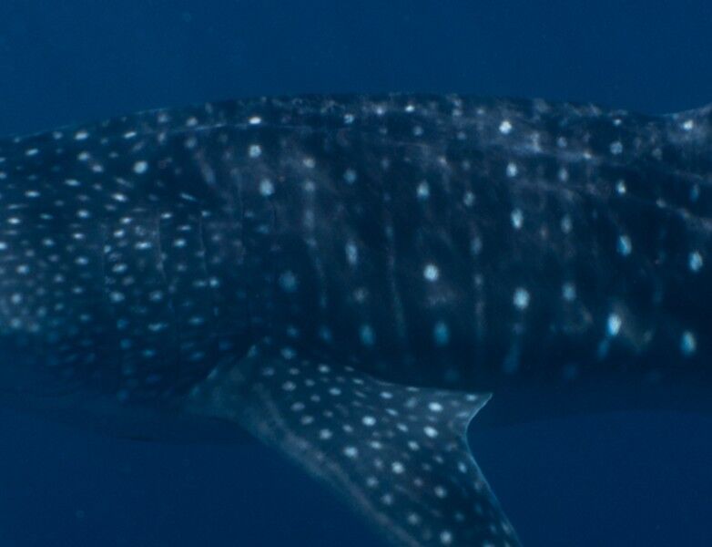 cd155c41-e40c-4c27-a4c6-768f3144321f