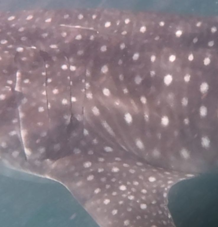 1f7596e4-d0d1-43fb-8c35-d10e7ec5a6ad