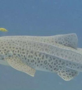 02fdd347-4e67-4ff2-9921-4fc21c3a7a7c