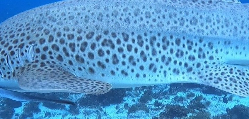 be5d2082-c728-4e30-8e64-87e3874650a6