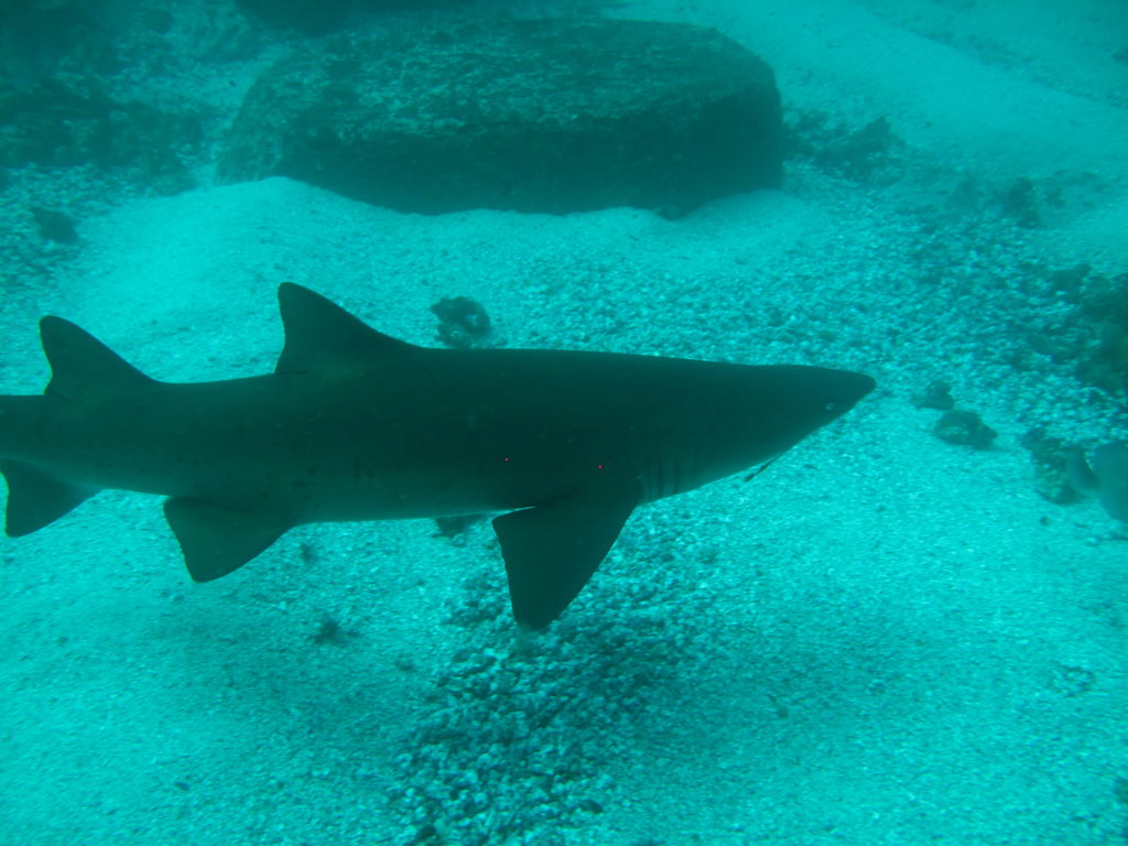 08e4569e-cd47-4159-9cc8-0c7307adb8cb