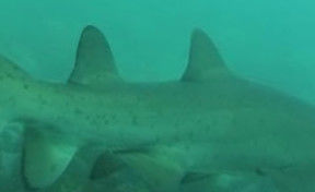 f7fa275b-f098-442b-a6a3-515865f2f4f1