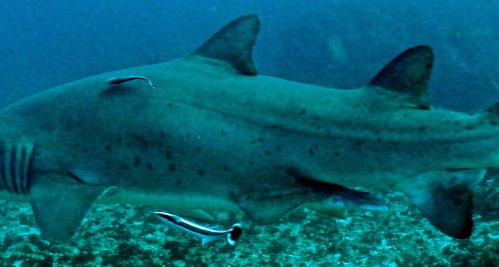 70ef6fb6-45ac-4ef8-8e3f-a3c67bac3f78