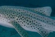 24d3f616-672c-4a9b-a37f-f38ecbf1ded2