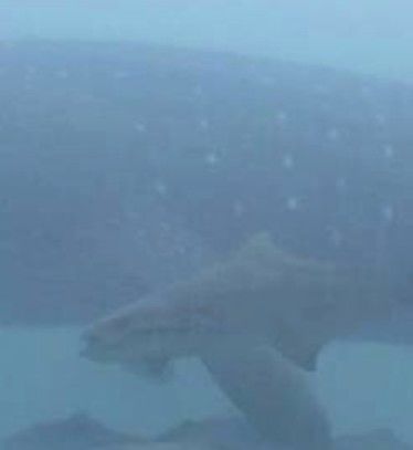 b49a59a7-a702-4db9-9b2e-cd4c66d8e740