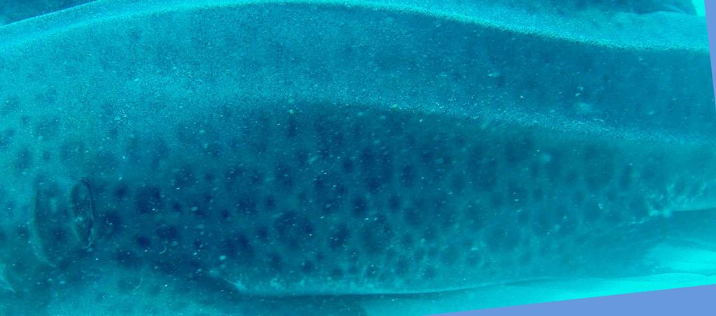 21e5468a-8998-4d36-bfcb-2a22f7b8b9fd