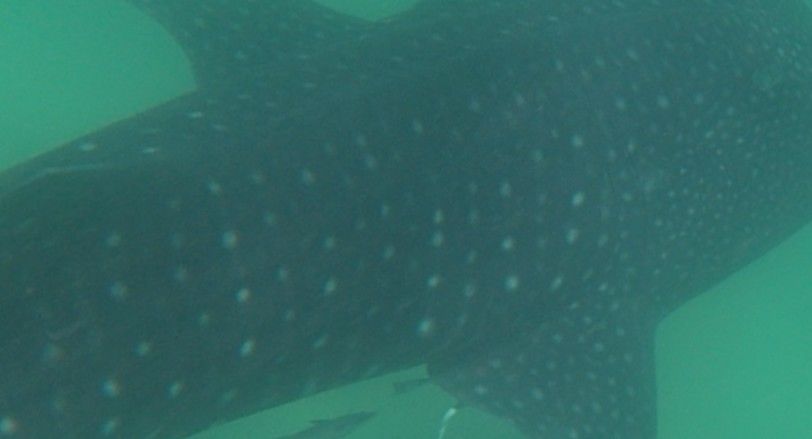 7069eea8-09ac-4fce-98be-bcb663d7a8fb