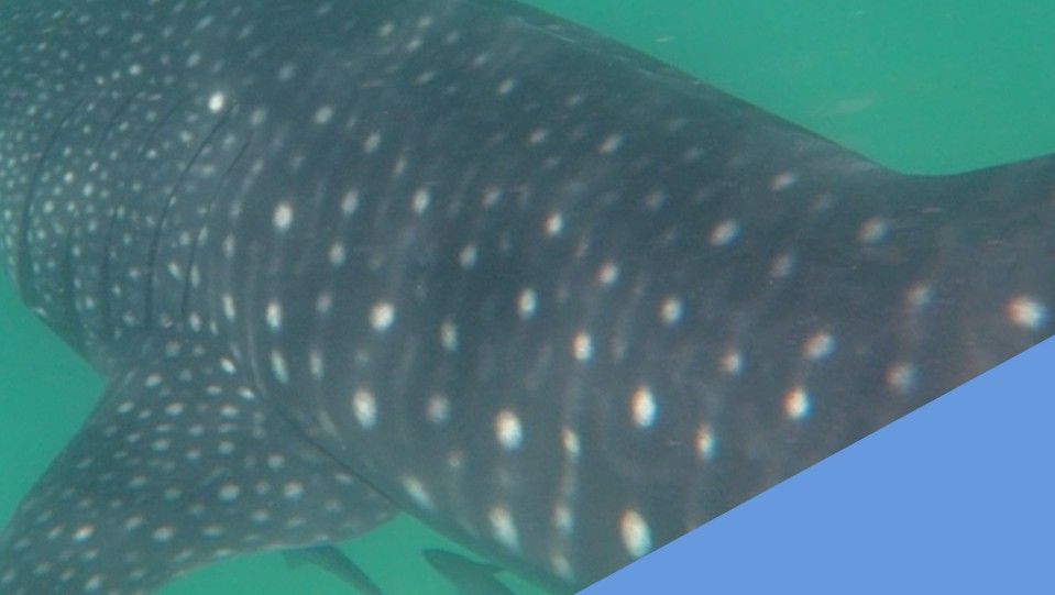 7069eea8-09ac-4fce-98be-bcb663d7a8fb