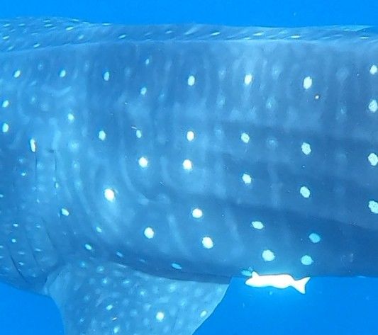 05aa9c2e-87bd-4293-9461-e2755dfe426a