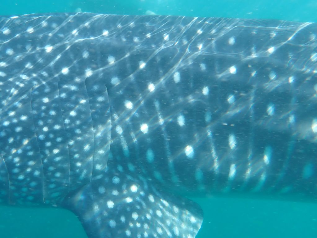 08292513-5883-4262-87df-52d7f018657e