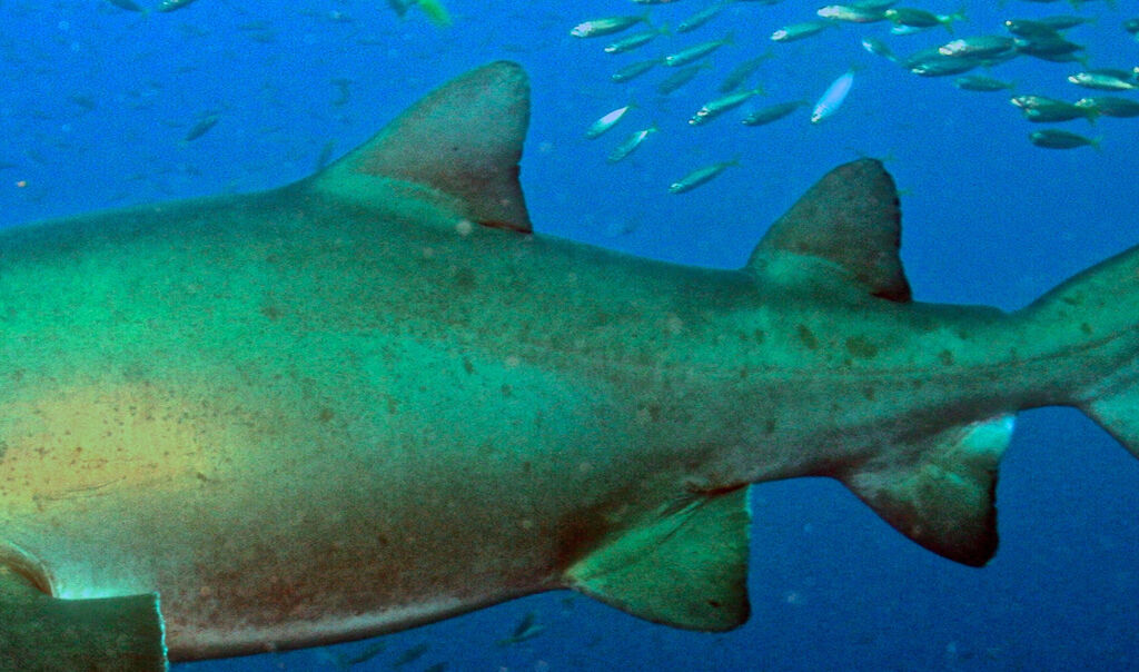 dcd90528-15e1-43a9-b947-f36ea996e5a0