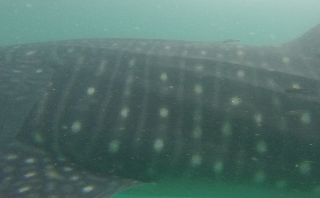 fda27389-1a70-4616-93a6-8b628fc233b4