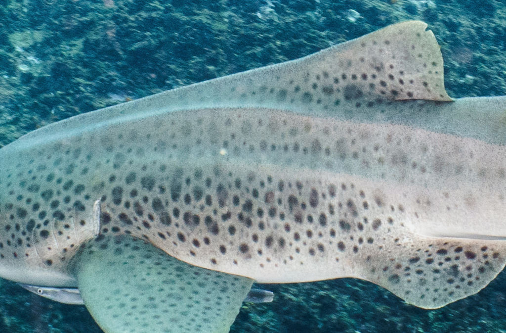 3a03e2b6-53c8-4303-bb98-ca003dfd0692