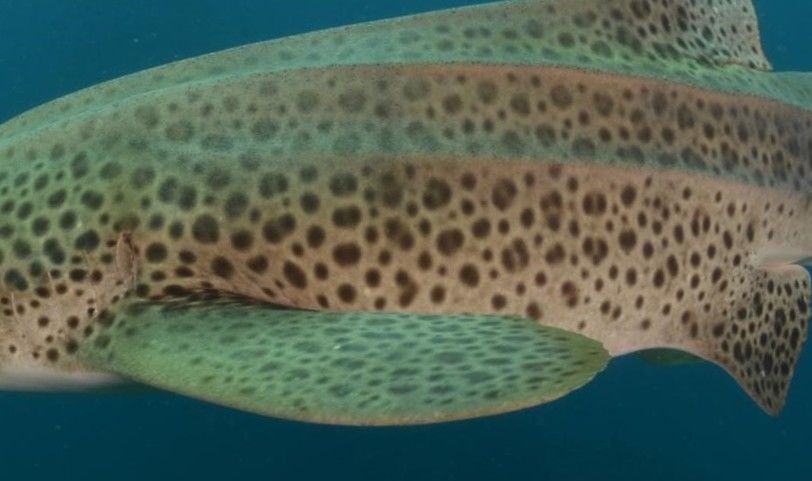 e1a5f633-09cd-4c99-8df1-01ec4848d965